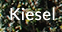 Kiesel