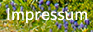 Impressum