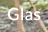 Glas