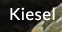 Kiesel